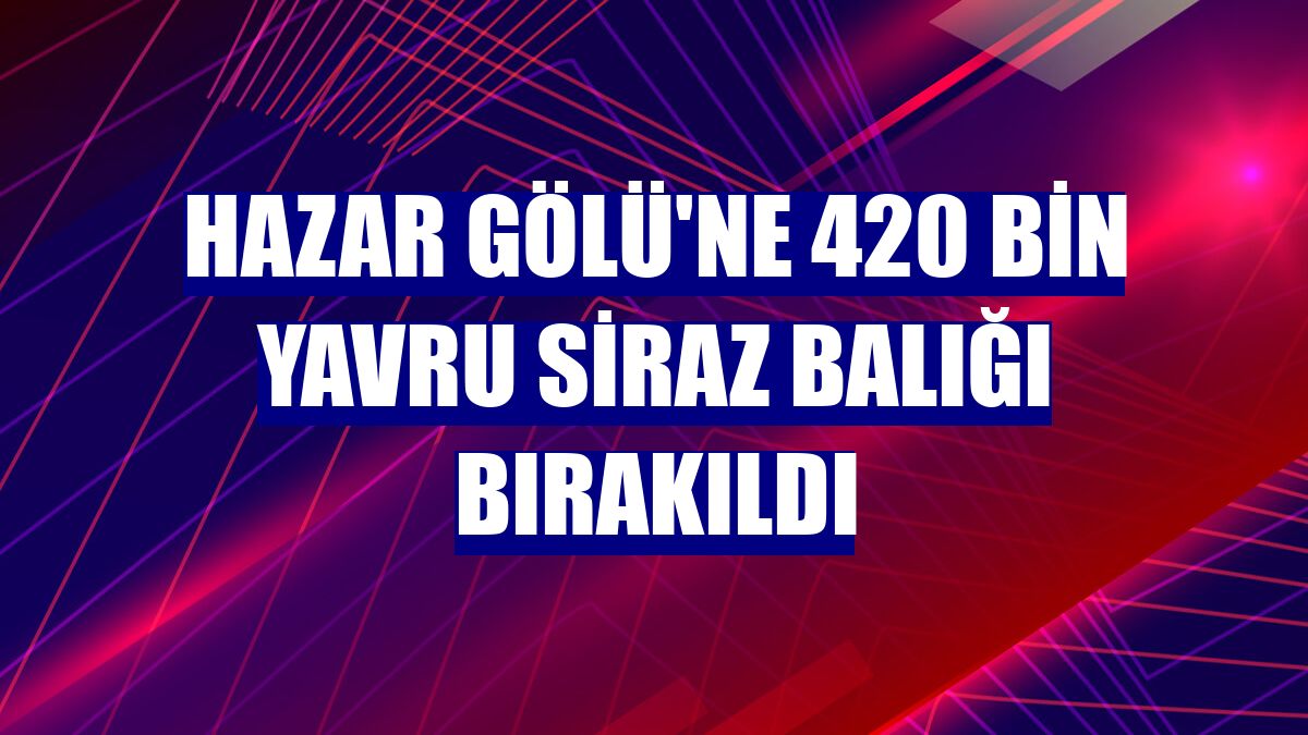 Hazar Gölü'ne 420 bin yavru siraz balığı bırakıldı