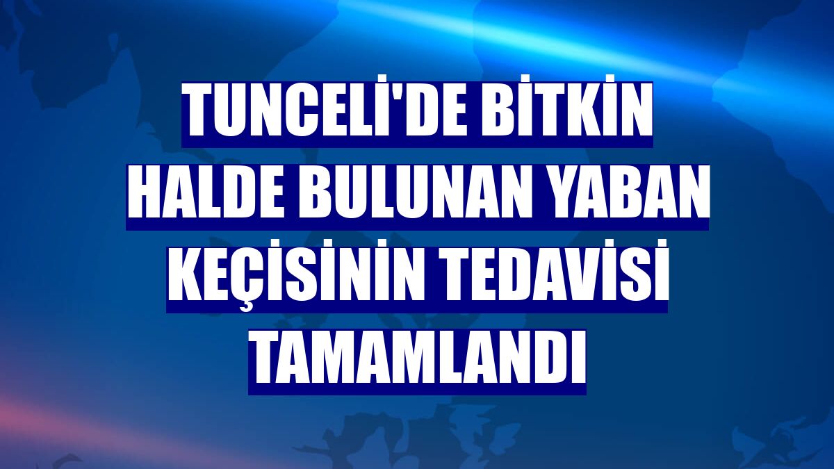 Tunceli'de bitkin halde bulunan yaban keçisinin tedavisi tamamlandı
