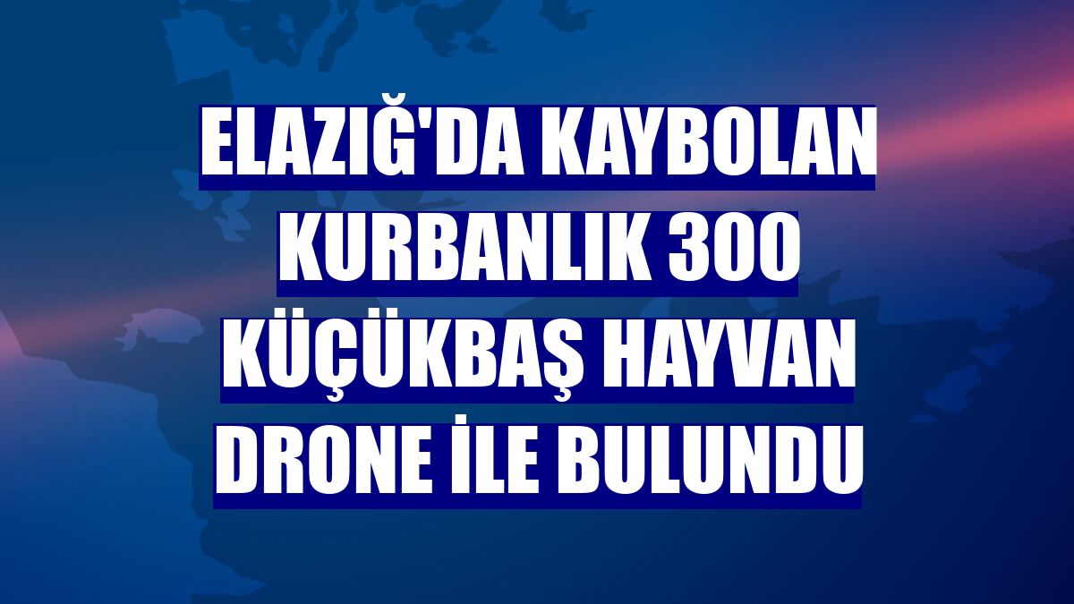 Elazığ'da kaybolan kurbanlık 300 küçükbaş hayvan drone ile bulundu