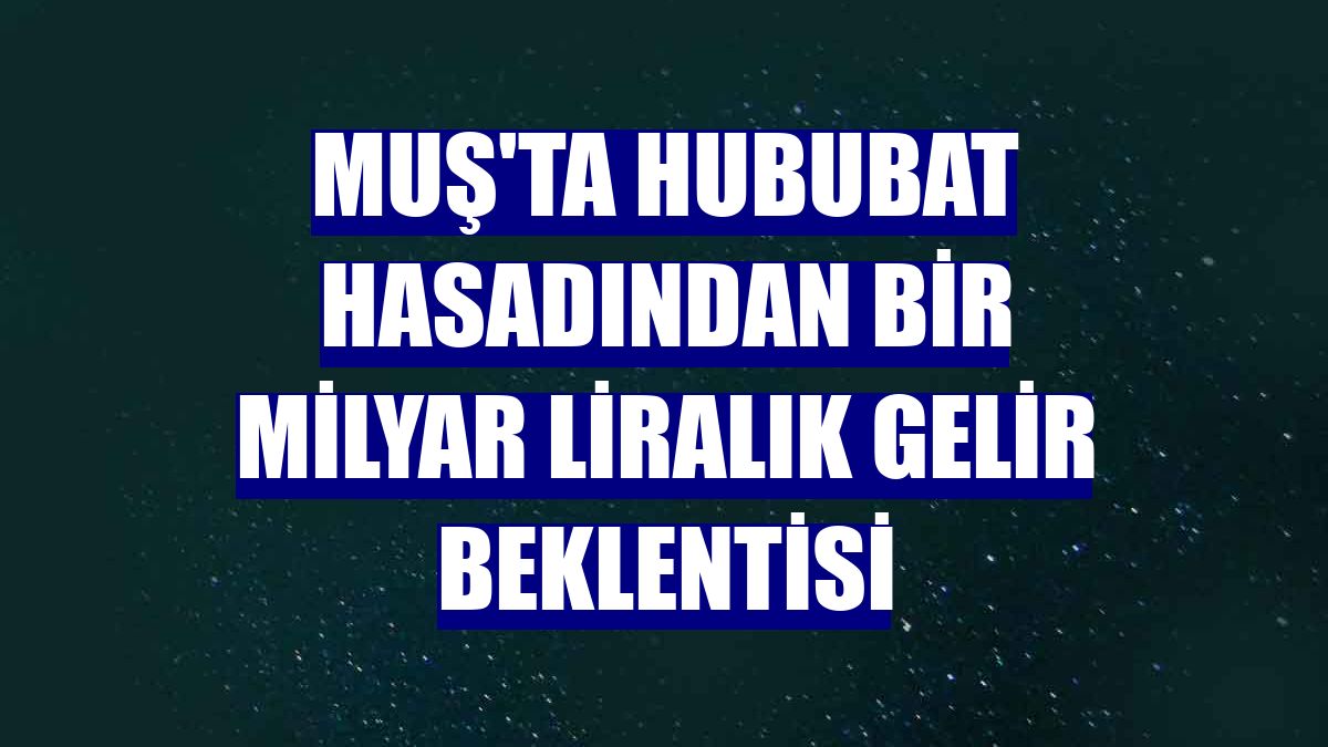 Muş'ta hububat hasadından bir milyar liralık gelir beklentisi