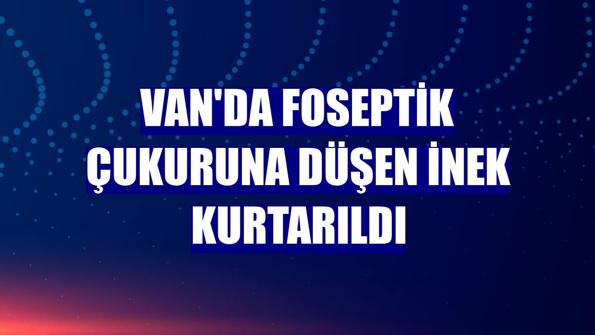 Van'da foseptik çukuruna düşen inek kurtarıldı