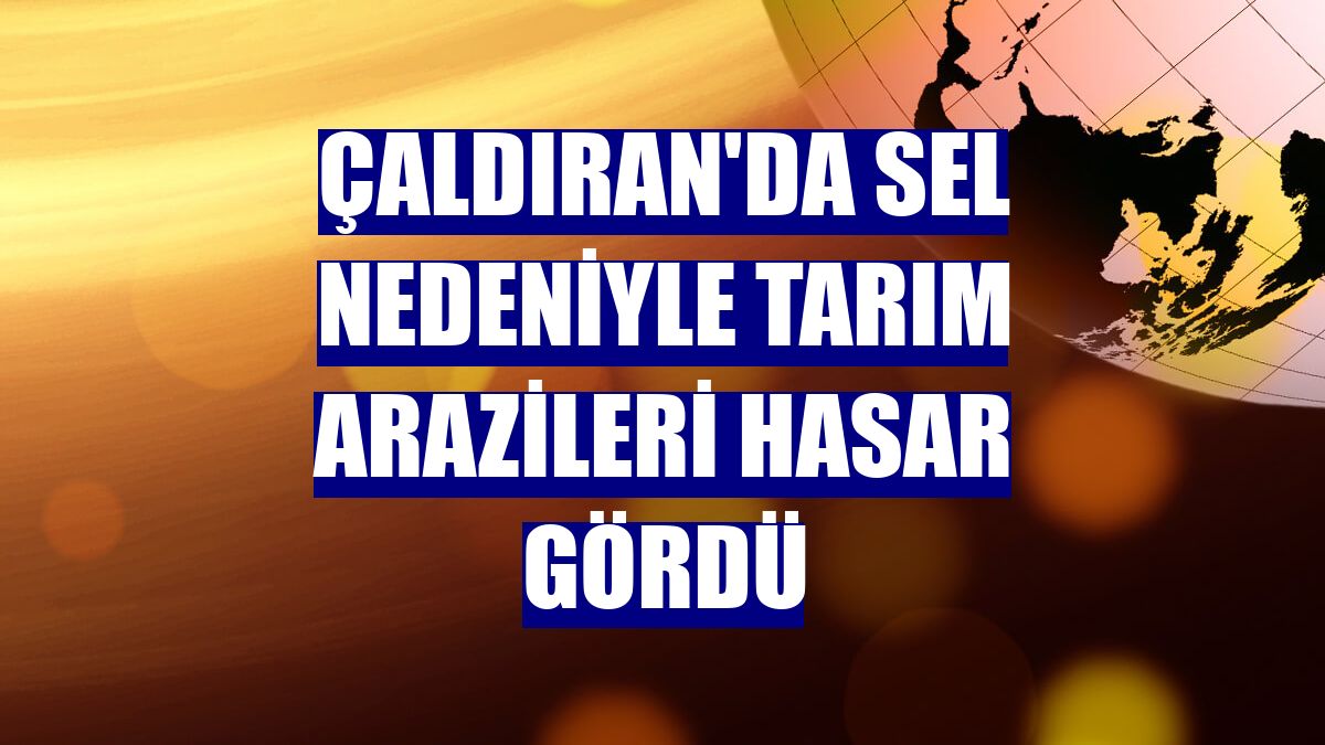 Çaldıran'da sel nedeniyle tarım arazileri hasar gördü