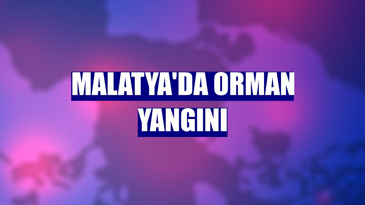 Malatya'da orman yangını