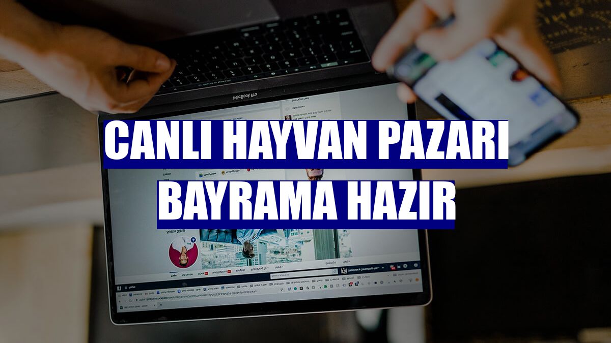 Canlı Hayvan Pazarı bayrama hazır