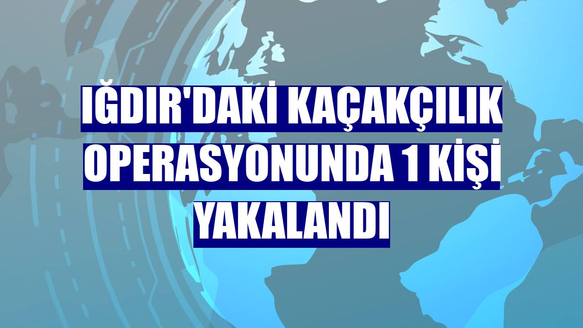 Iğdır'daki kaçakçılık operasyonunda 1 kişi yakalandı