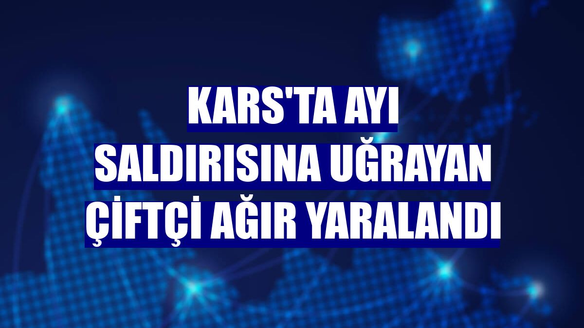 Kars'ta ayı saldırısına uğrayan çiftçi ağır yaralandı