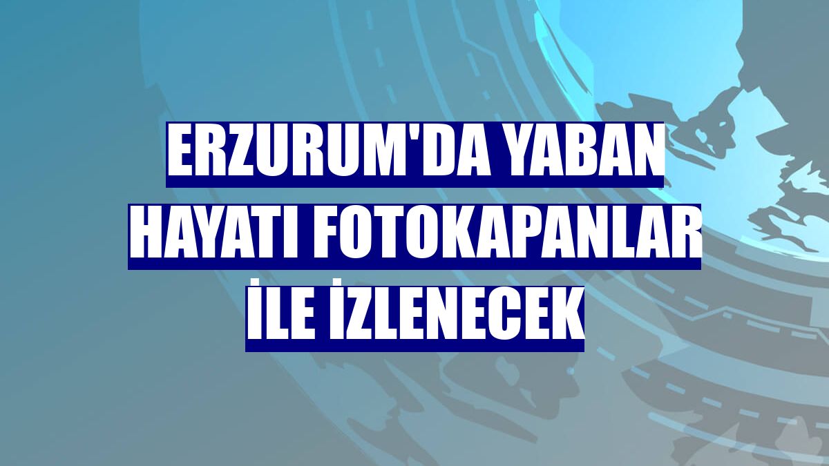 Erzurum'da yaban hayatı fotokapanlar ile izlenecek