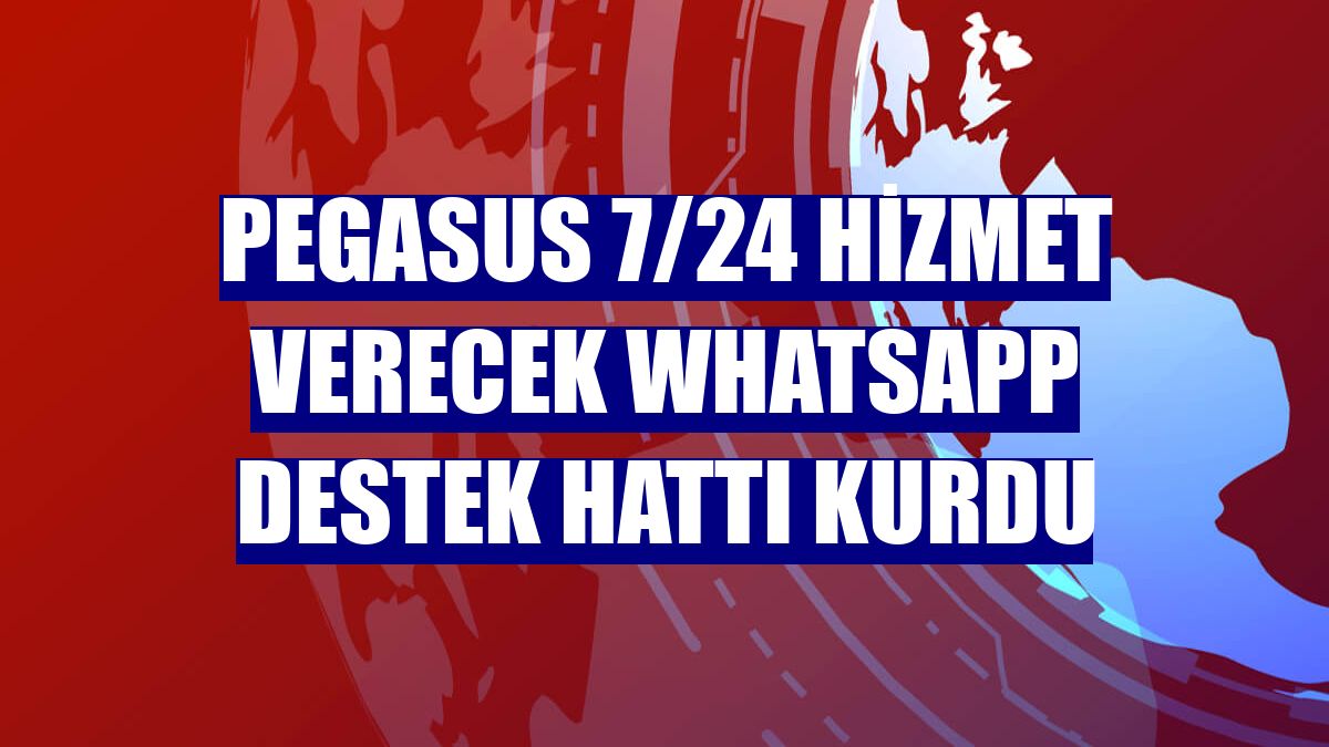 Pegasus 7/24 hizmet verecek WhatsApp destek hattı kurdu