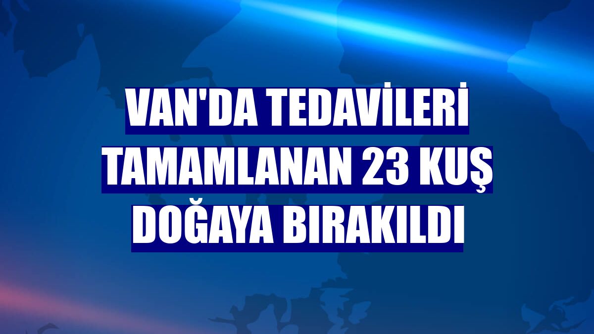 Van'da tedavileri tamamlanan 23 kuş doğaya bırakıldı