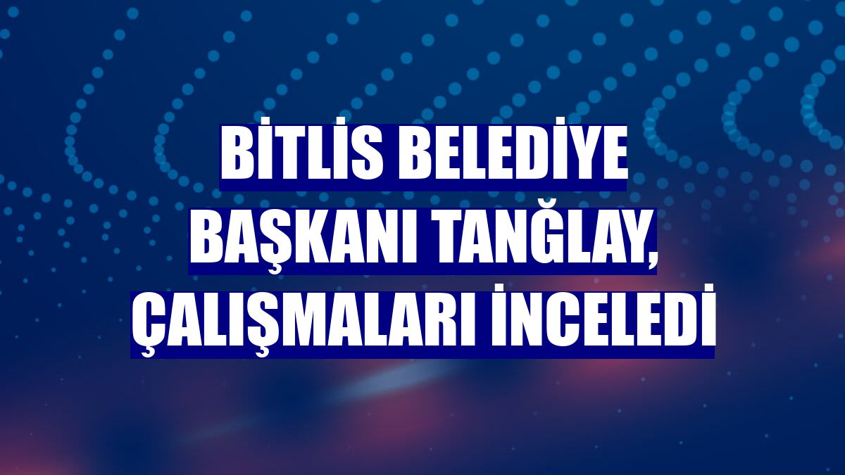 Bitlis Belediye Başkanı Tanğlay, çalışmaları inceledi