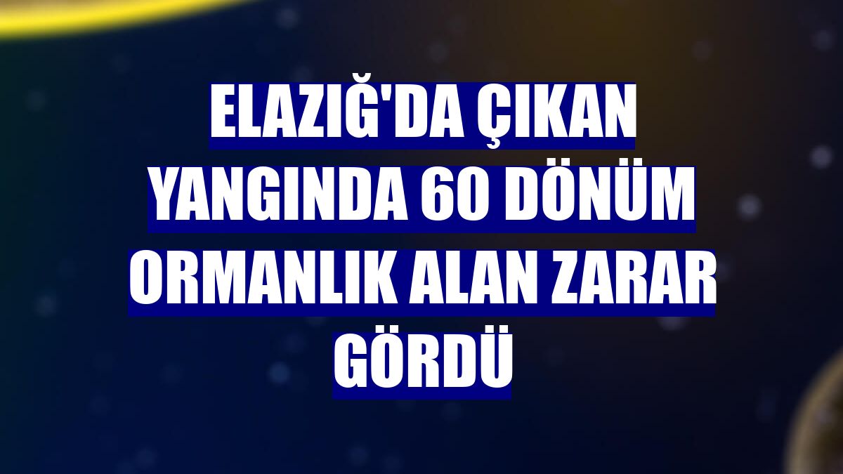 Elazığ'da çıkan yangında 60 dönüm ormanlık alan zarar gördü