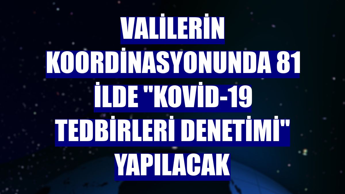 Valilerin koordinasyonunda 81 ilde "Kovid-19 Tedbirleri Denetimi" yapılacak