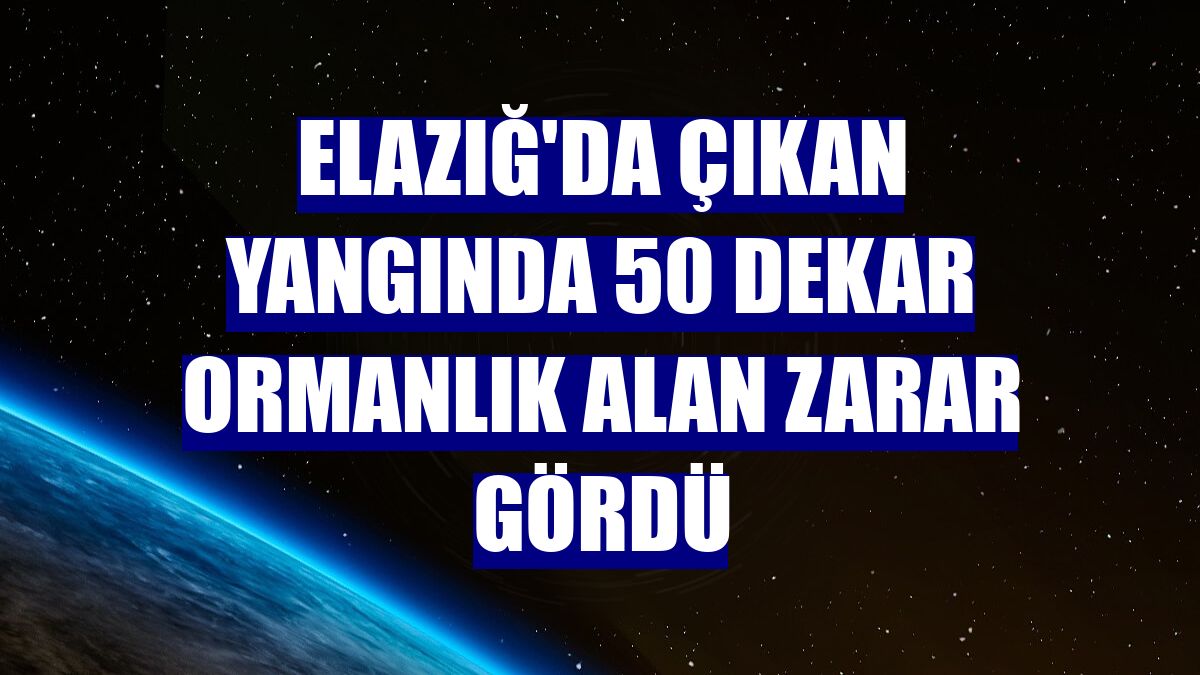 Elazığ'da çıkan yangında 50 dekar ormanlık alan zarar gördü