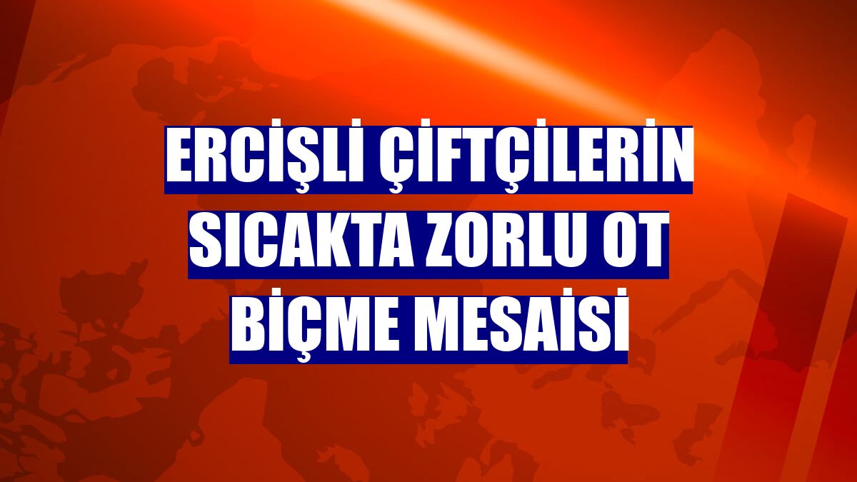 Ercişli çiftçilerin sıcakta zorlu ot biçme mesaisi
