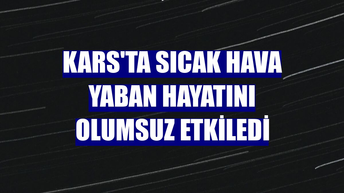 Kars'ta sıcak hava yaban hayatını olumsuz etkiledi