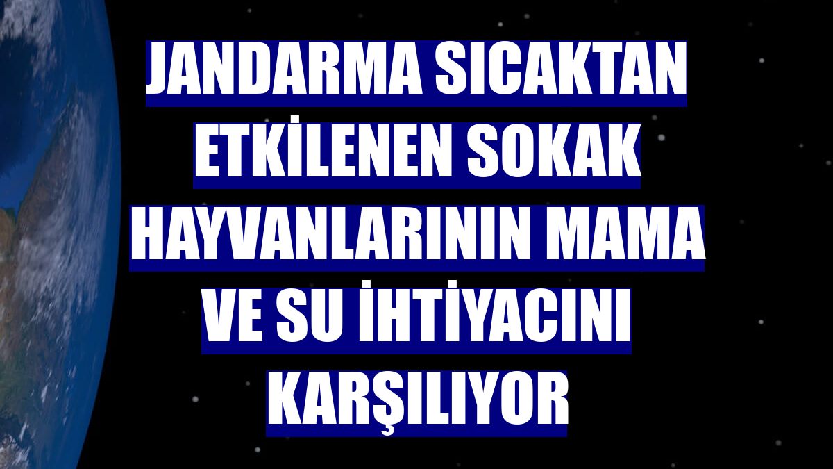 Jandarma sıcaktan etkilenen sokak hayvanlarının mama ve su ihtiyacını karşılıyor