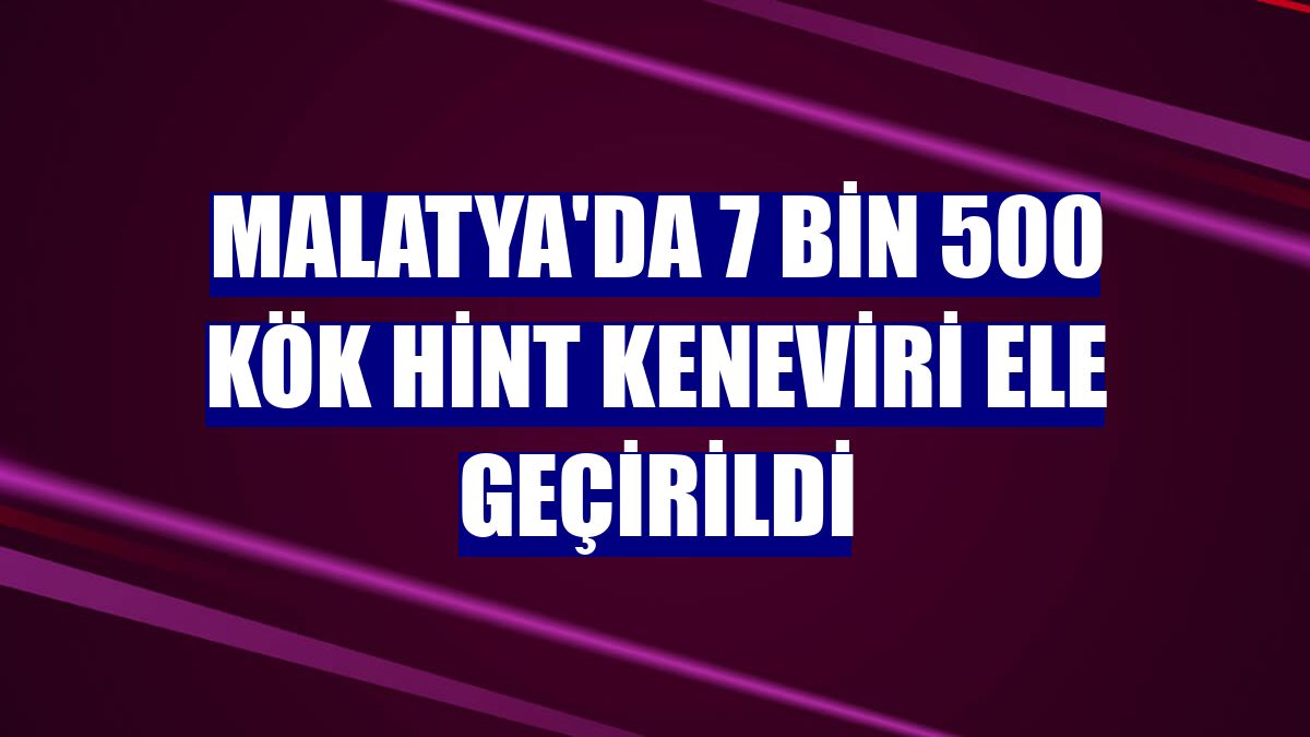 Malatya'da 7 bin 500 kök Hint keneviri ele geçirildi