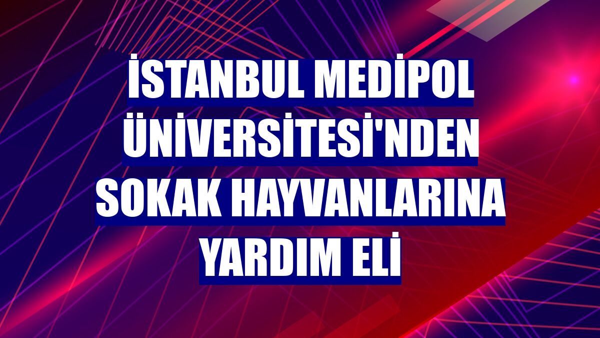 İstanbul Medipol Üniversitesi'nden sokak hayvanlarına yardım eli