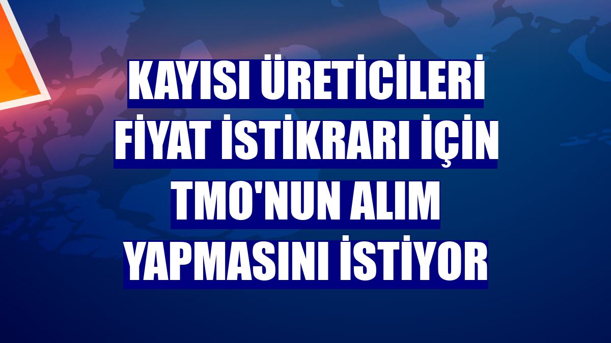 Kayısı üreticileri fiyat istikrarı için TMO'nun alım yapmasını istiyor