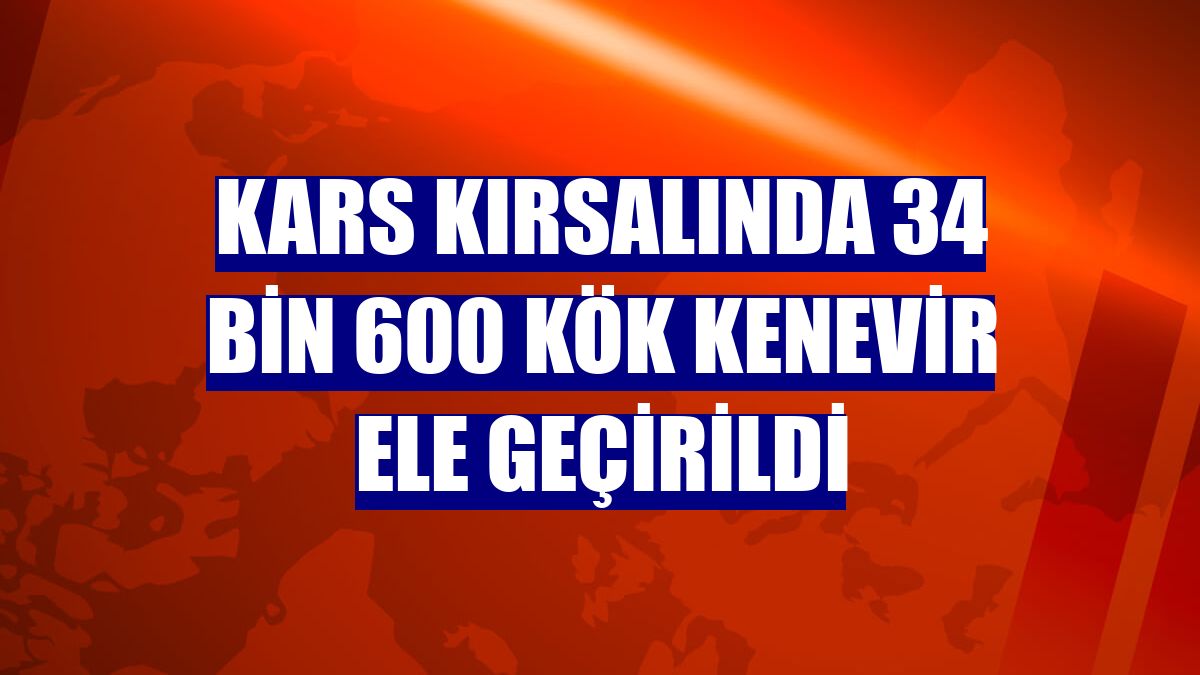 Kars kırsalında 34 bin 600 kök kenevir ele geçirildi