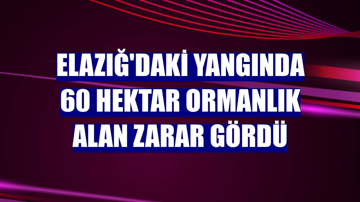 Elazığ'daki yangında 60 hektar ormanlık alan zarar gördü