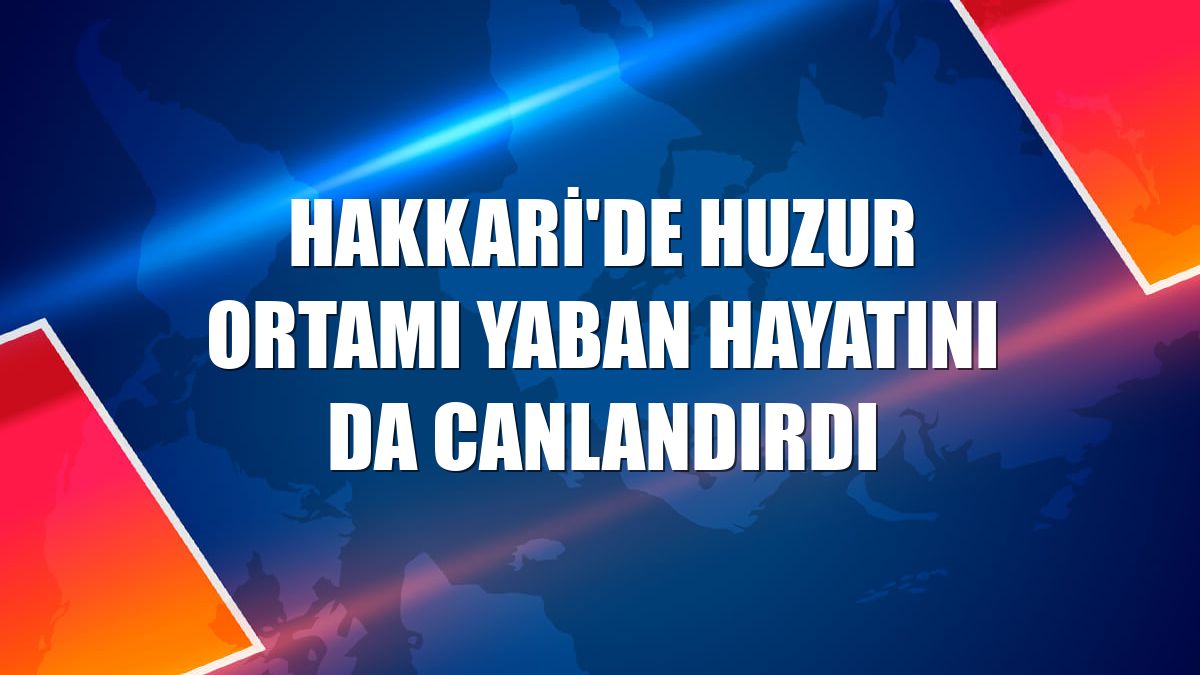 Hakkari'de huzur ortamı yaban hayatını da canlandırdı