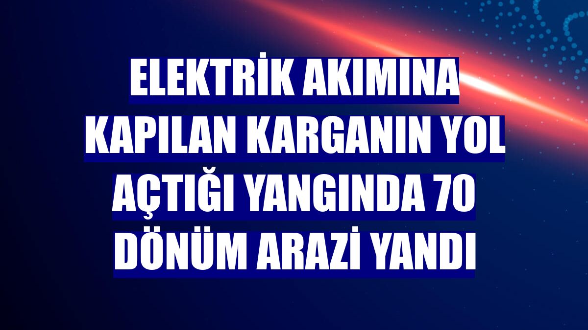 Elektrik akımına kapılan karganın yol açtığı yangında 70 dönüm arazi yandı