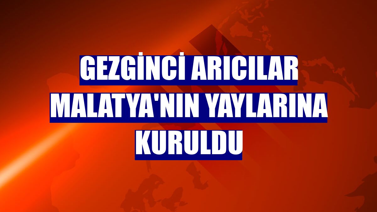 Gezginci arıcılar Malatya'nın yaylarına kuruldu
