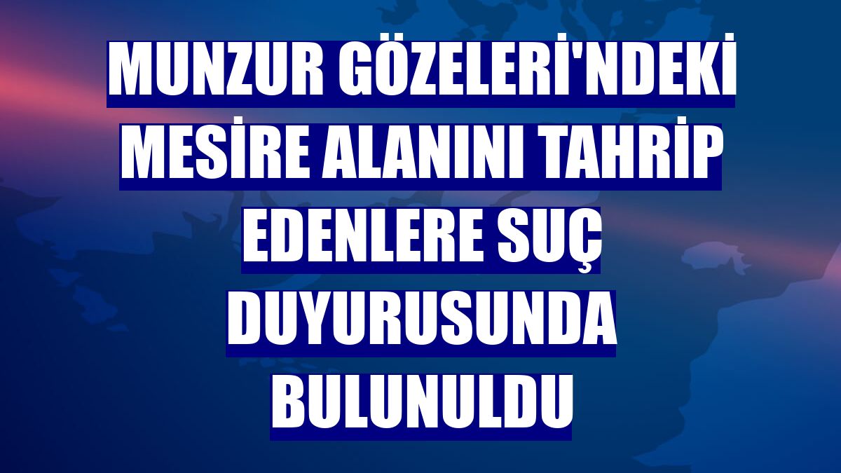 Munzur Gözeleri'ndeki mesire alanını tahrip edenlere suç duyurusunda bulunuldu