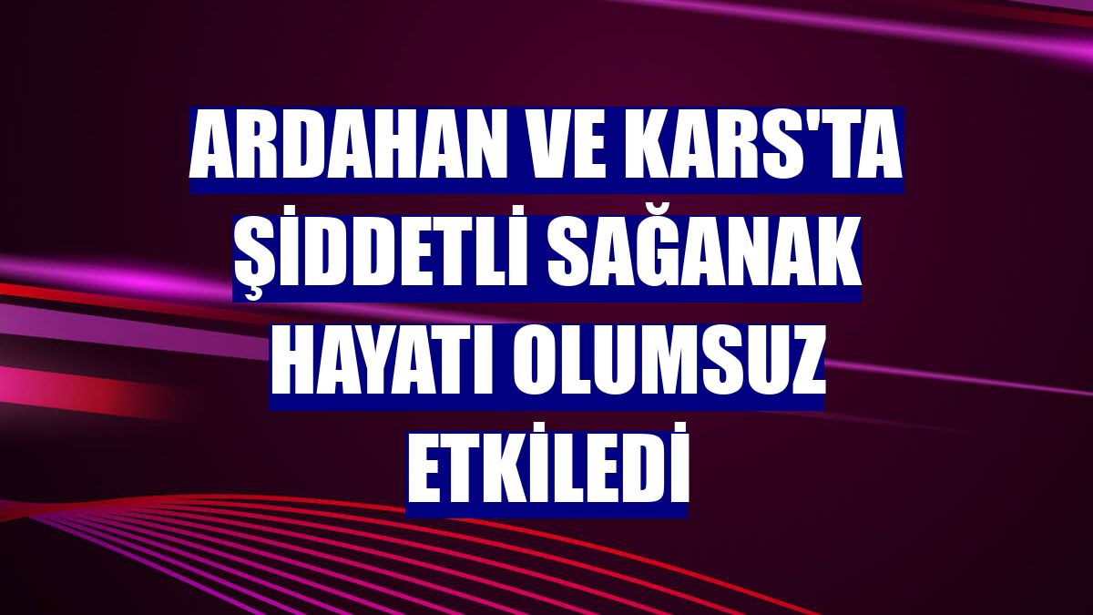 Ardahan ve Kars'ta şiddetli sağanak hayatı olumsuz etkiledi