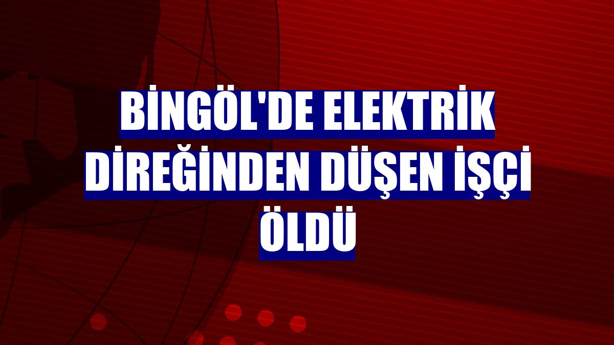 Bingöl'de elektrik direğinden düşen işçi öldü