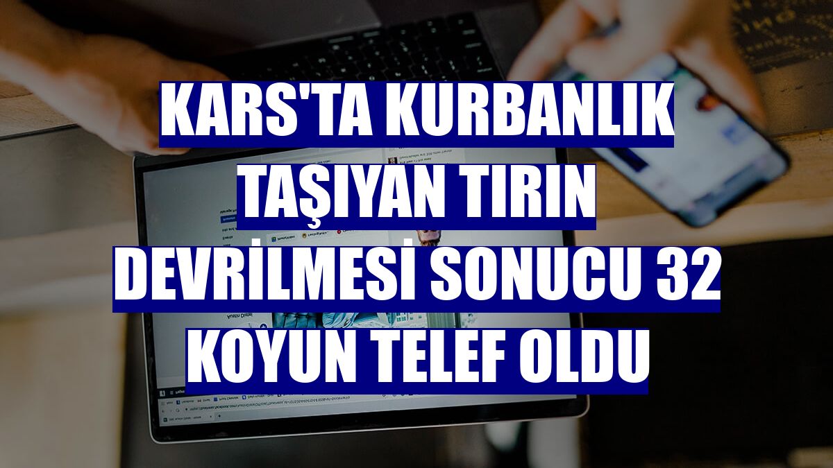 Kars'ta kurbanlık taşıyan tırın devrilmesi sonucu 32 koyun telef oldu
