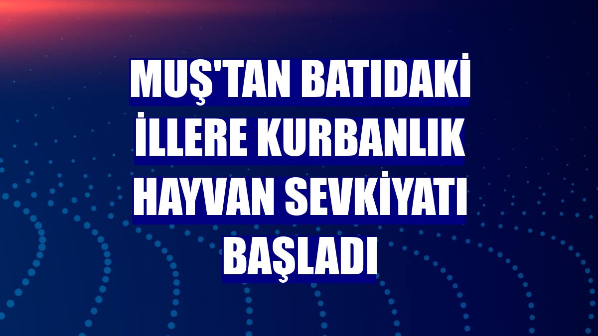 Muş'tan batıdaki illere kurbanlık hayvan sevkiyatı başladı