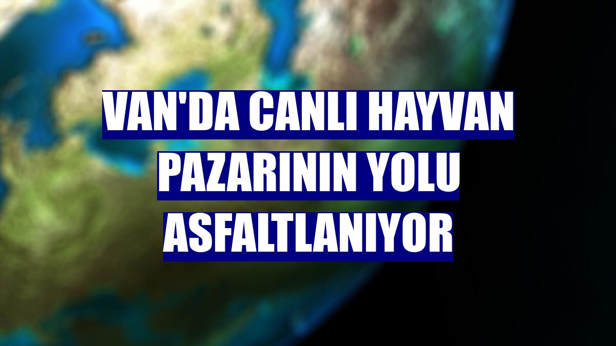 Van'da canlı hayvan pazarının yolu asfaltlanıyor
