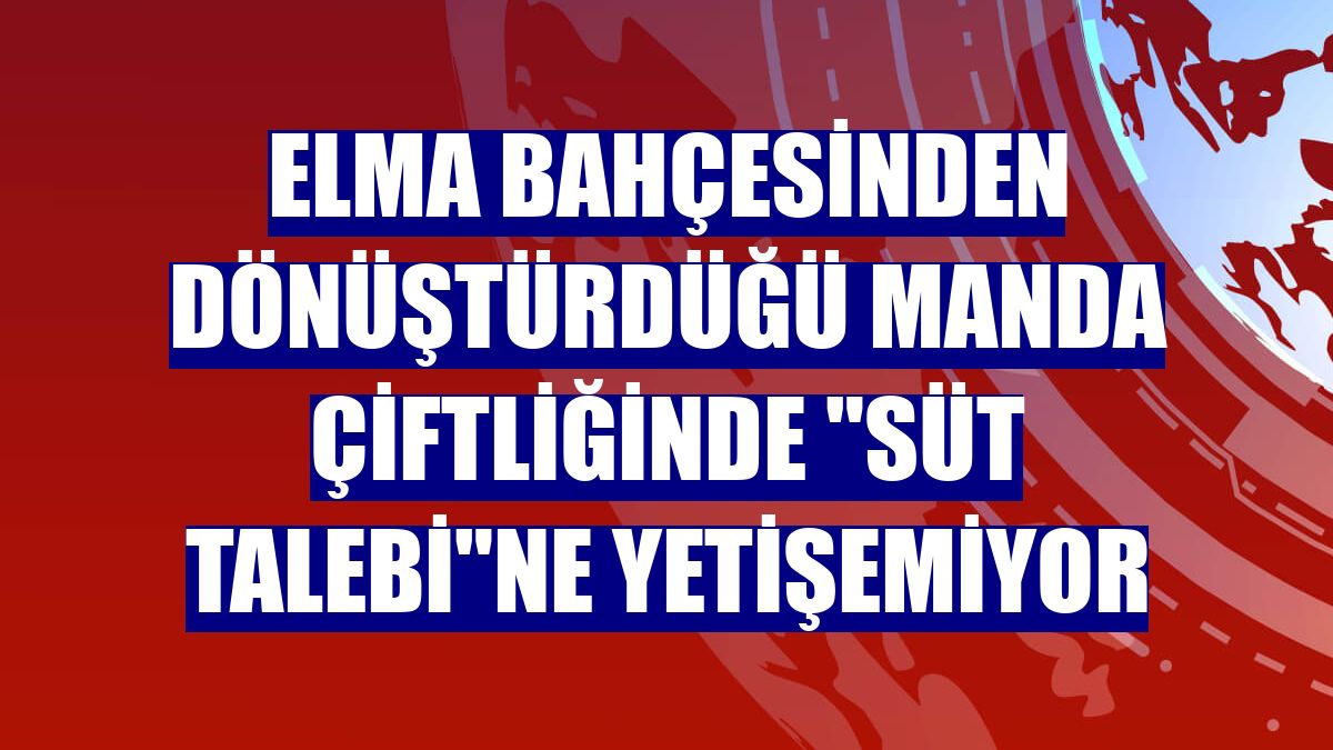 Elma bahçesinden dönüştürdüğü manda çiftliğinde "süt talebi"ne yetişemiyor