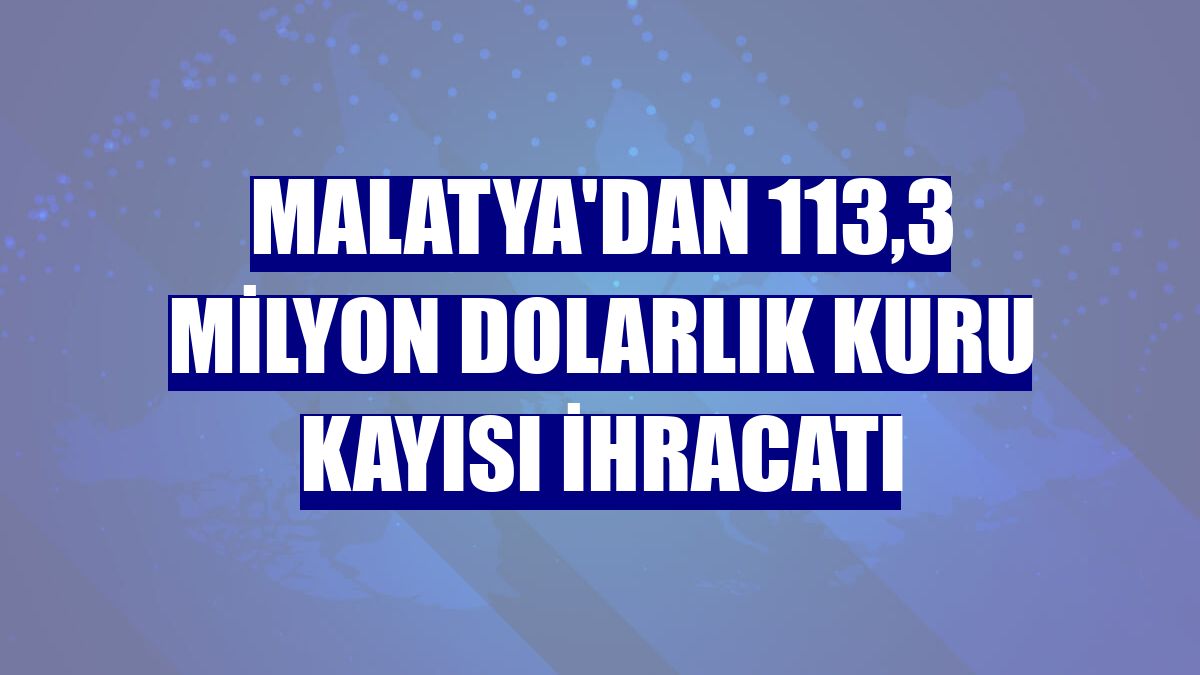 Malatya'dan 113,3 milyon dolarlık kuru kayısı ihracatı