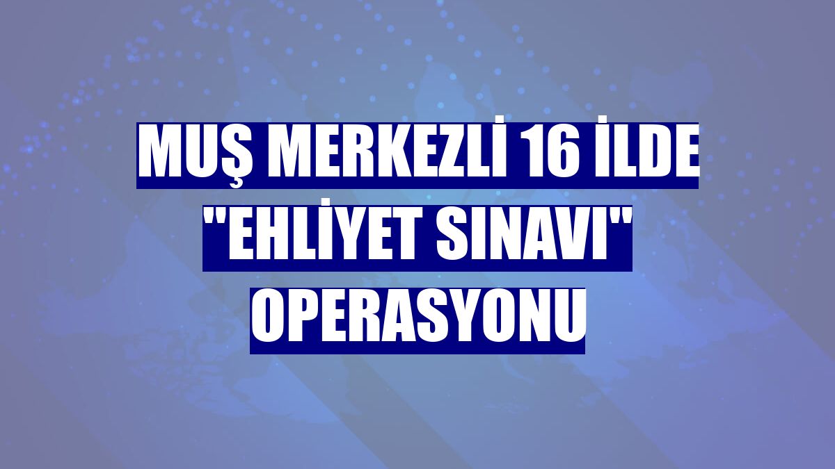 Muş merkezli 16 ilde "ehliyet sınavı" operasyonu