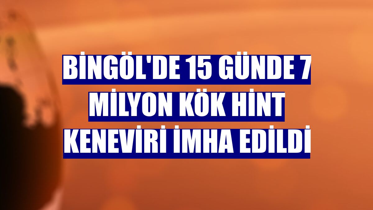 Bingöl'de 15 günde 7 milyon kök Hint keneviri imha edildi
