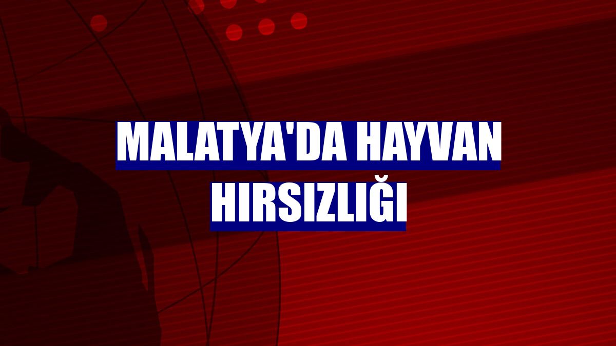 Malatya'da hayvan hırsızlığı