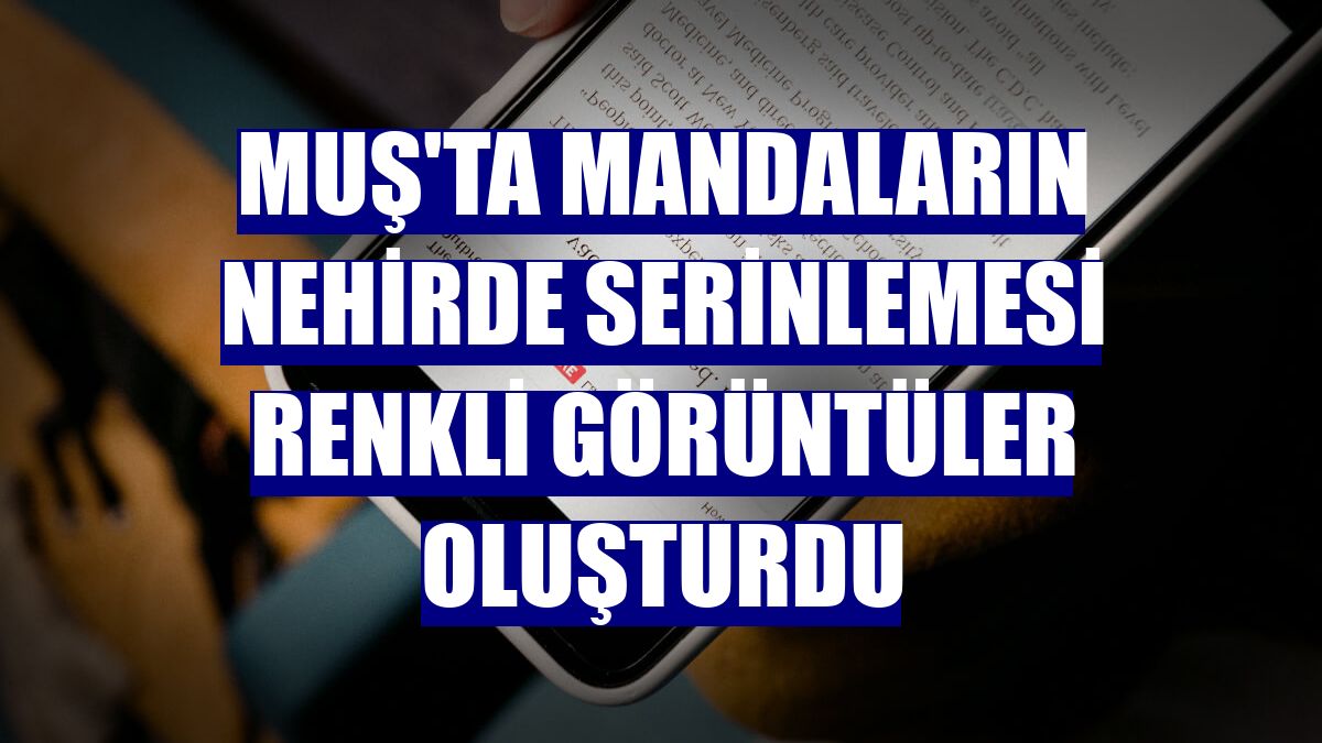 Muş'ta mandaların nehirde serinlemesi renkli görüntüler oluşturdu