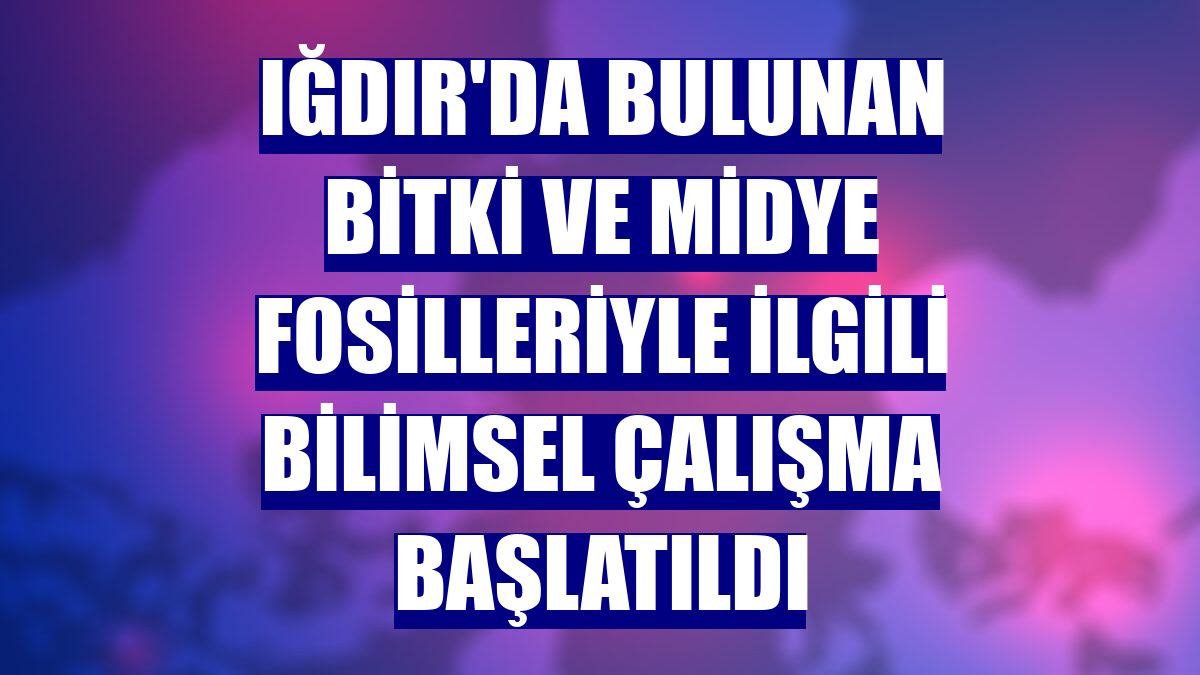 Iğdır'da bulunan bitki ve midye fosilleriyle ilgili bilimsel çalışma başlatıldı