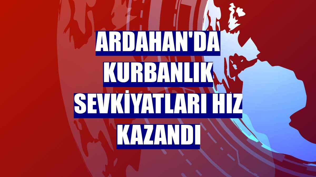 Ardahan'da kurbanlık sevkiyatları hız kazandı