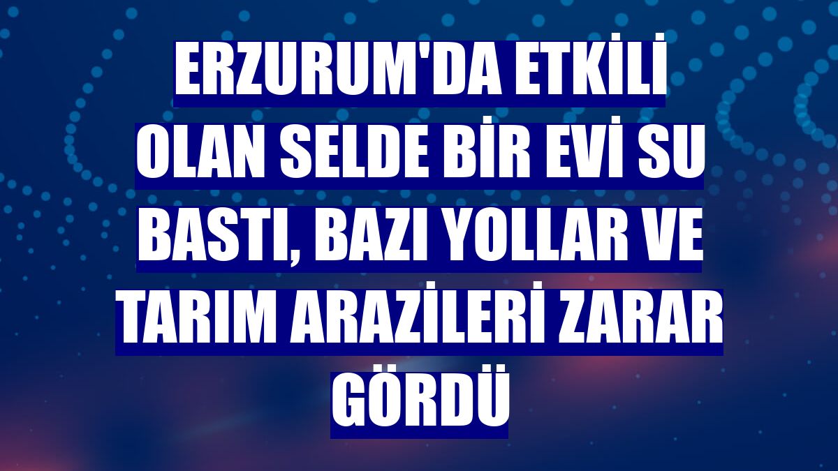 Erzurum'da etkili olan selde bir evi su bastı, bazı yollar ve tarım arazileri zarar gördü