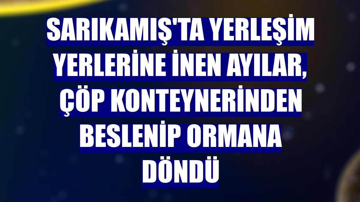 Sarıkamış'ta yerleşim yerlerine inen ayılar, çöp konteynerinden beslenip ormana döndü