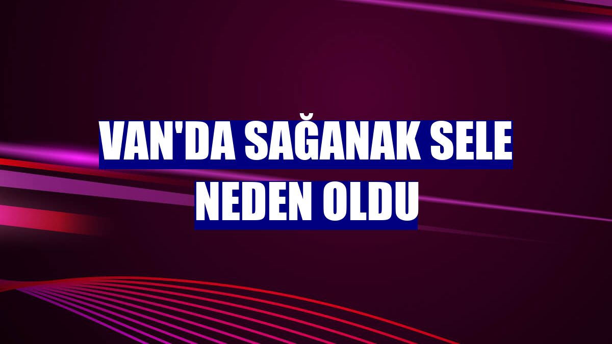 Van'da sağanak sele neden oldu