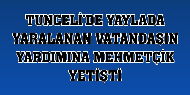 Tunceli'de yaylada yaralanan vatandaşın yardımına Mehmetçik yetişti