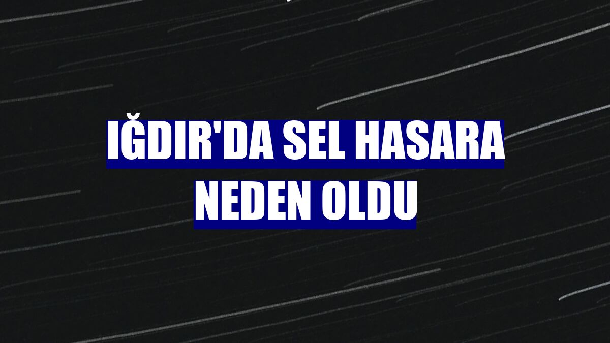 Iğdır'da sel hasara neden oldu