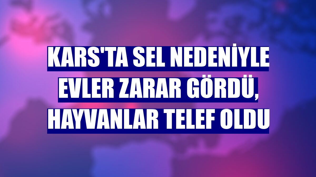 Kars'ta sel nedeniyle evler zarar gördü, hayvanlar telef oldu