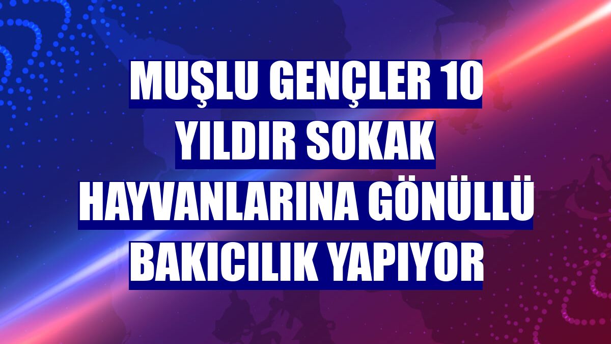 Muşlu gençler 10 yıldır sokak hayvanlarına gönüllü bakıcılık yapıyor