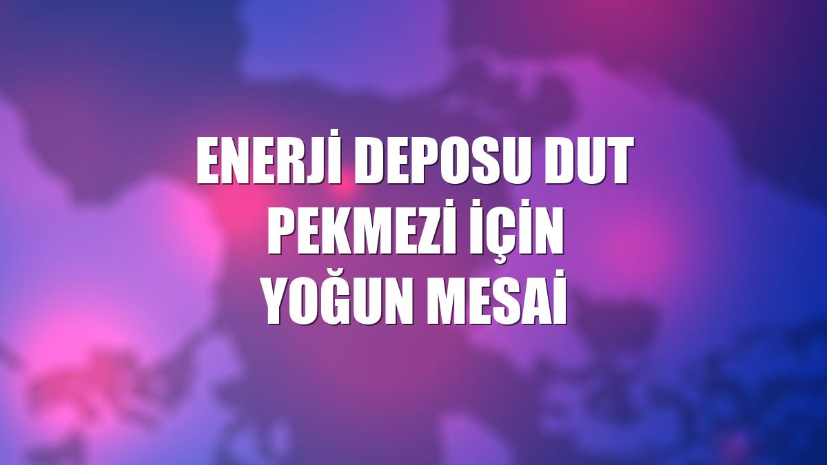 Enerji deposu dut pekmezi için yoğun mesai